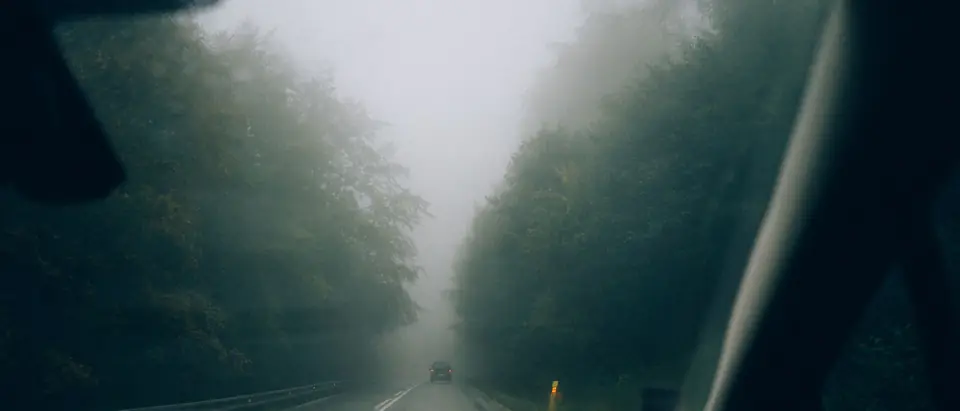 A foggy forest road seen through a car windshield
