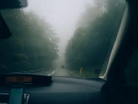 A foggy forest road seen through a car windshield