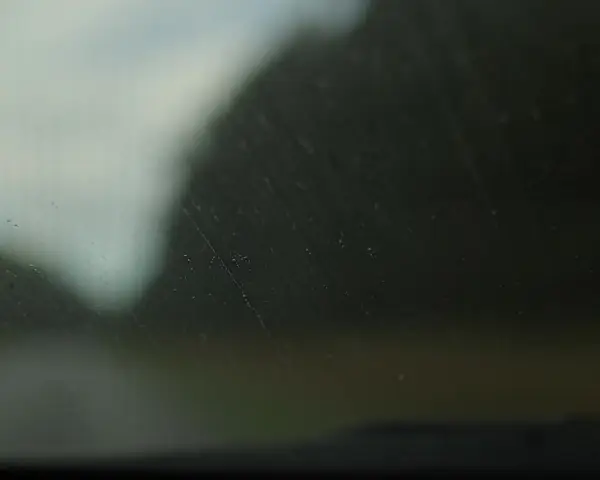 Raindrops on a windshield seen from inside, a dark tree line and grey sky blurred behind the glass