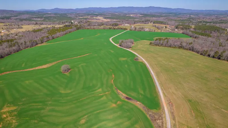 A road winding between green fields and woods in rural North Carolina, seen from the air